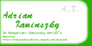 adrian kaminszky business card